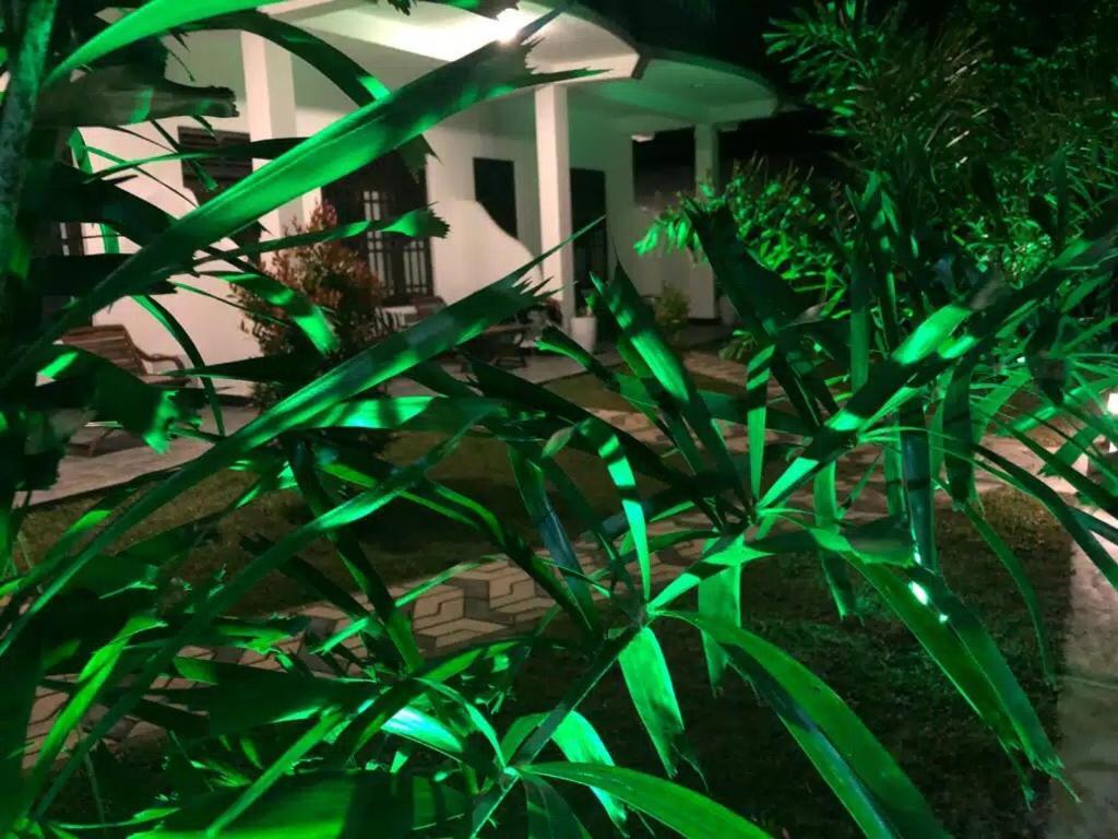 Skyresort Tangalle Exterior photo
